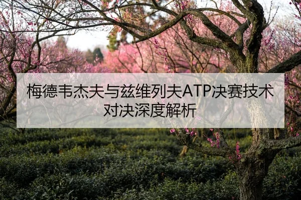 梅德韦杰夫与兹维列夫ATP决赛技术对决深度解析